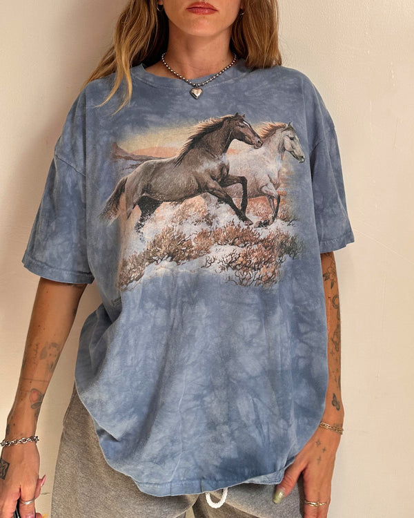 Horses - XL