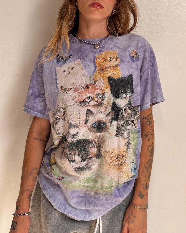 Kittens - L