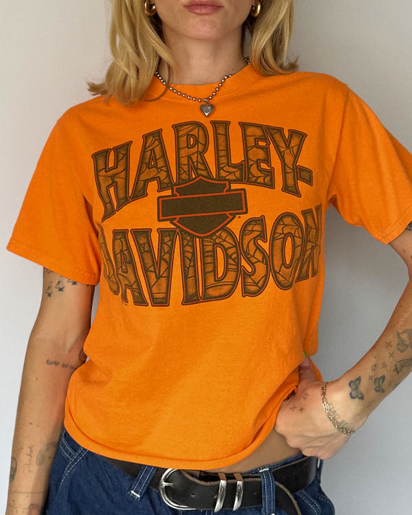 Harley Chicago - S