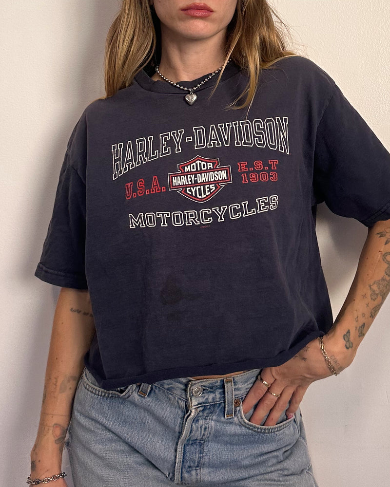 Harley Kansas City - L