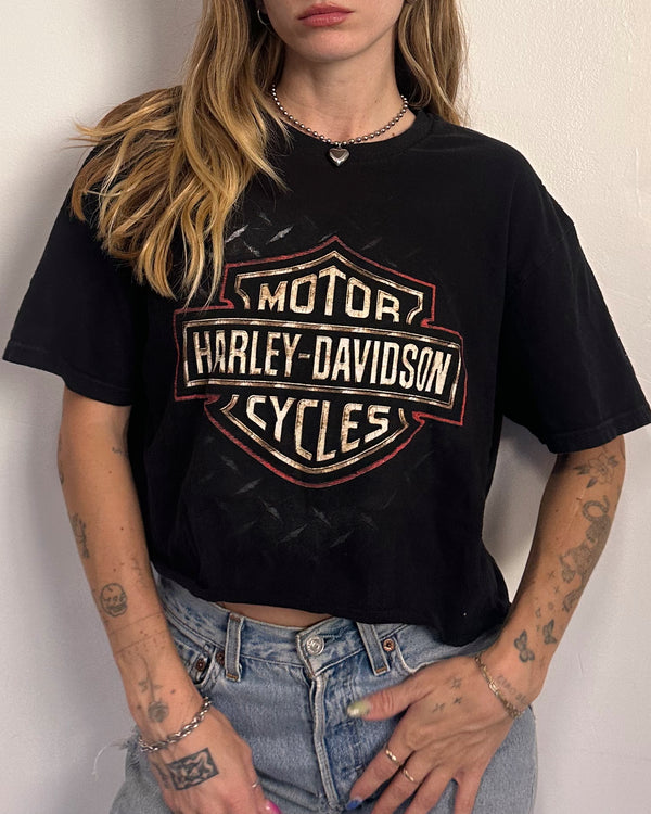 Harley Orlando - L