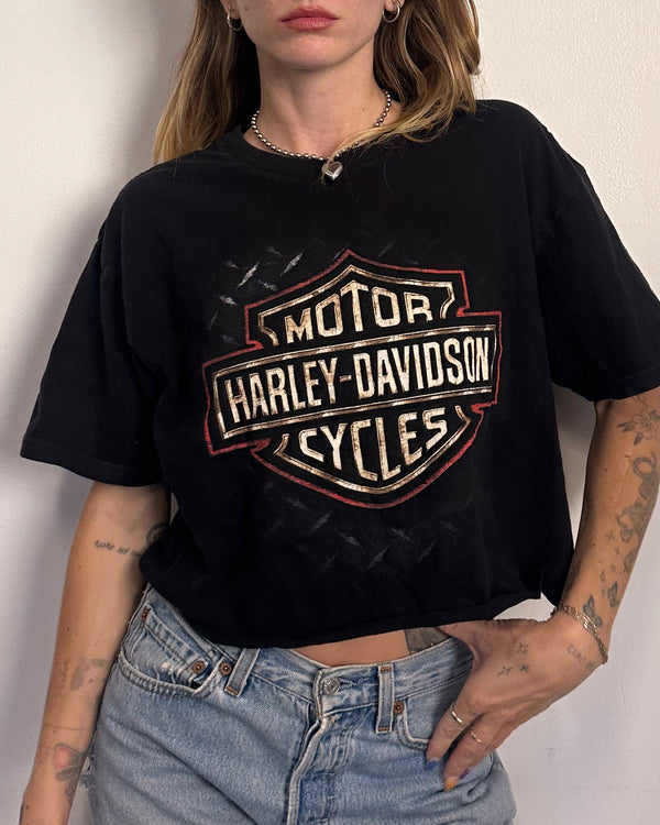 Harley Orlando - L