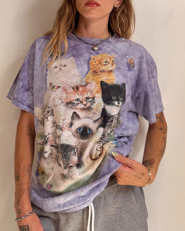 Kittens - L