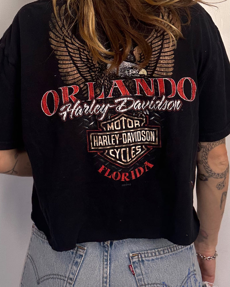 Harley Orlando - L